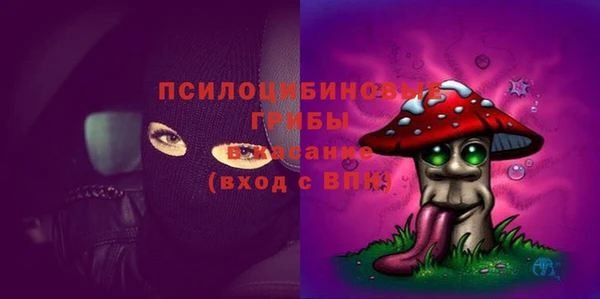 гидра Козловка