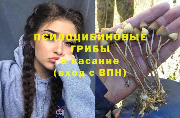 спайс Кодинск
