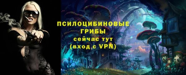 спайс Кодинск