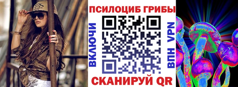 Купить где  Коркино  Галлюциногенные грибы Cubensis 