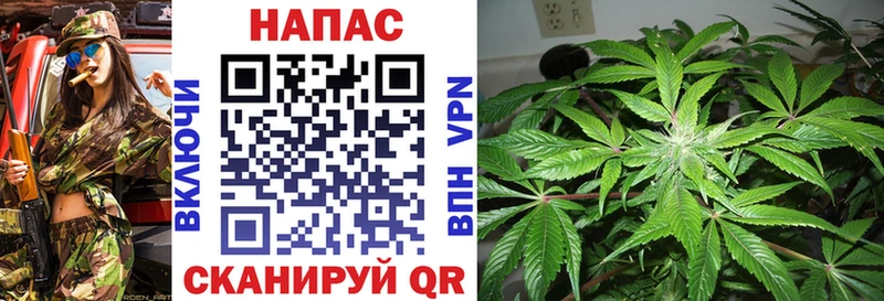 Купить где  Коркино  Шишки марихуана план 